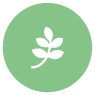 collecte-recyclage-dechets-verts